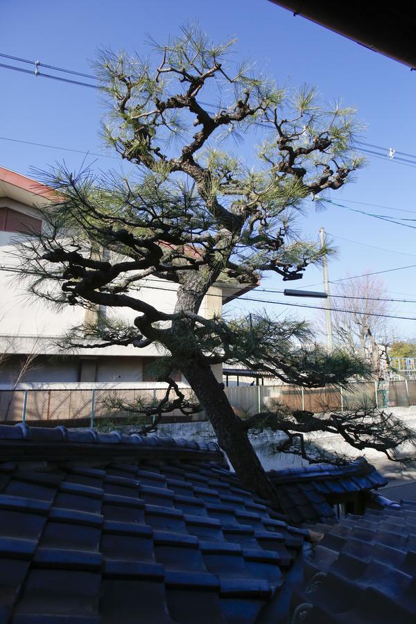 Matsuharu Ann * 京都